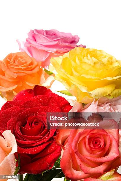 Multi Colorate Rose Bouquet - Fotografie stock e altre immagini di Arancione - Arancione, Bouquet, Close-up