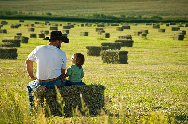 padre con figlio sondaggi campi di erba - farmer farm family son foto e immagini stock