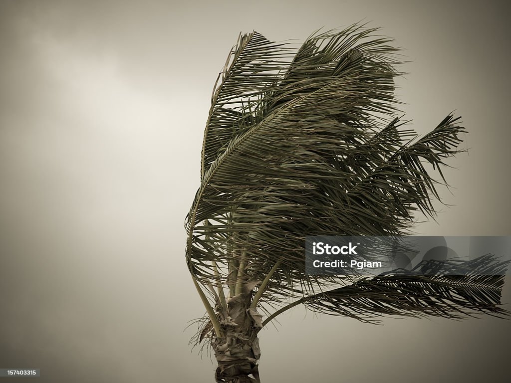 Furacões Libra da praia - Foto de stock de Furacão royalty-free