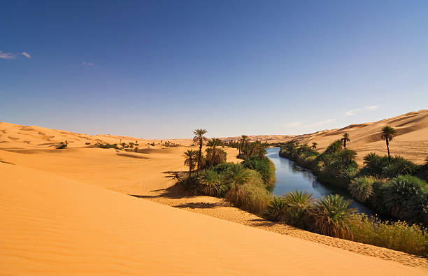 Um el Ma Oasis , Mandara lake , Libyan Sahara Desert, Africa The Umm el Ma or Umm el Ma (Mother of the Water) is about 800 meters long stretched lake in the Libyan part of the Sahara in the Fezzan Awbari. The oasis formed by the lake will be saved from numerous underground water reservoirs. The salinity of the lake rises to 34%. desert vegetation stock pictures, royalty-free photos & images