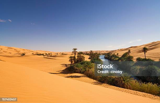 Um El Ma Oasis Mandara Lake Libyan Sahara Desert Africa Stock Photo - Download Image Now