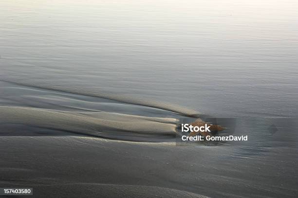 Einen Seestern Am Strand Stockfoto und mehr Bilder von Einzelner Gegenstand - Einzelner Gegenstand, Einzelnes Tier, Farbbild