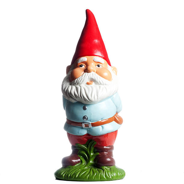 Garden Gnome A squared full view of a cute and proud garden gnome, with a red cone hat and a white beard, isolated on white. Ideal for conveying any luck / gardening related concept. garden gnome on white stock pictures, royalty-free photos & images
