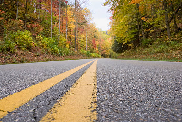 istock Smoky Mountain Autumn Roads Series (XXL) 157403858