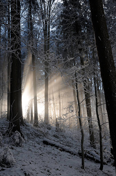 rayo de luz - thick snow fotografías e imágenes de stock