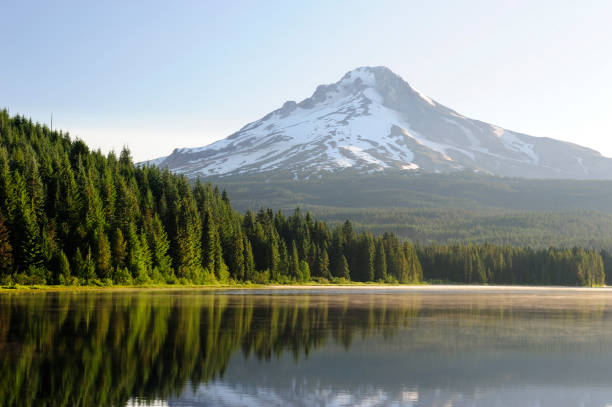 istock Mt Hood, Trillium Lake and PIne Trees 157404247