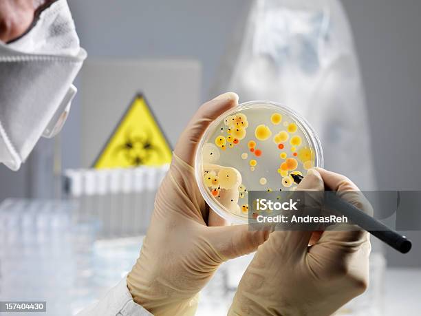 Foto de Laboratório De Ajuda Para Contar As Bactérias e mais fotos de stock de Símbolo de Resíduos Biológicos - Símbolo de Resíduos Biológicos, Disco de Petri, Bactéria