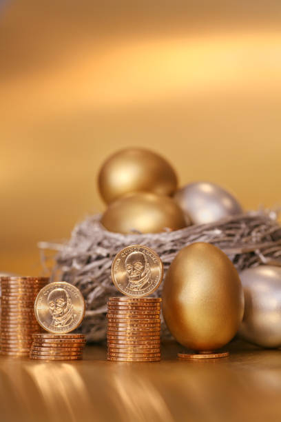 istock Nest Egg with Gold Coins 157404460
