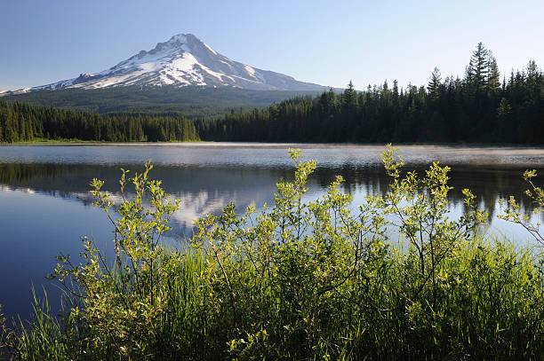 istock Peaceful Morning at Trillium Lake 157404475