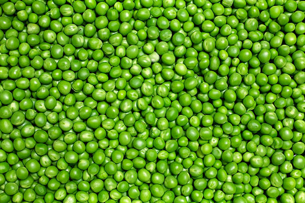 Green peas stock photo