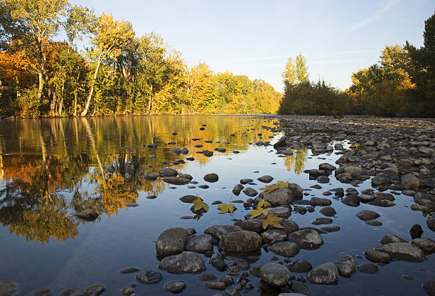 bellissimo autunno - boise river foto e immagini stock