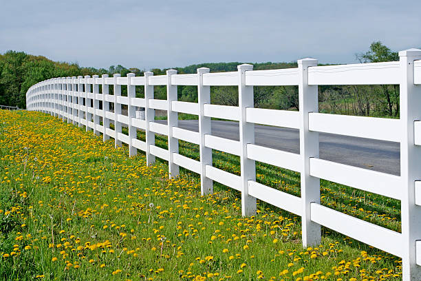 Endless White Fence White fence among dandelions.  rail fence stock pictures, royalty-free photos & images