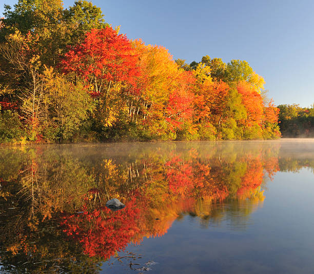 istock Autumn Foliage at French Creek SP 157405295