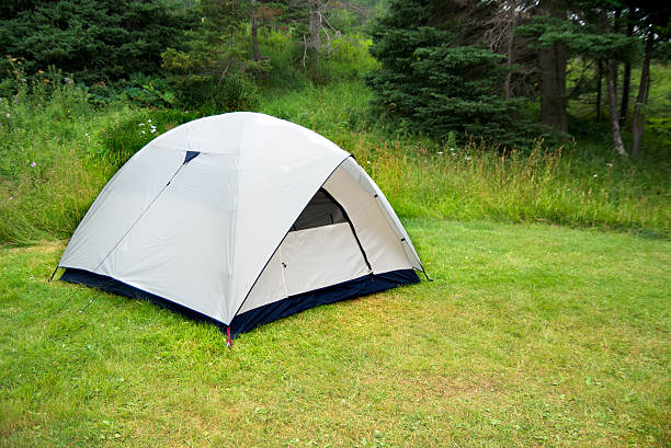 istock Tent In The Forest During A Summer Camp 157405616