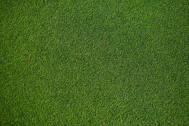 Real Putting Green 100% natural Putting Green, top view. turf photos stock pictures, royalty-free photos & images