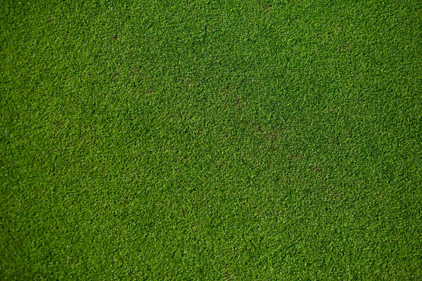 real putting green - hemen üstünde stok fotoğraflar ve resimler