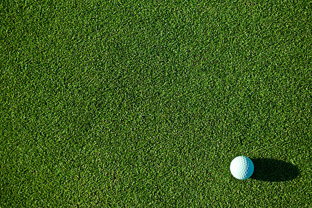 pallina da golf - golf golf course grass golf ball foto e immagini stock