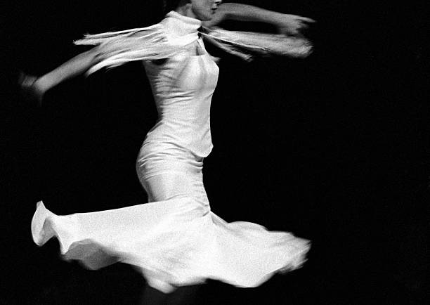 Flamenco flying stock photo
