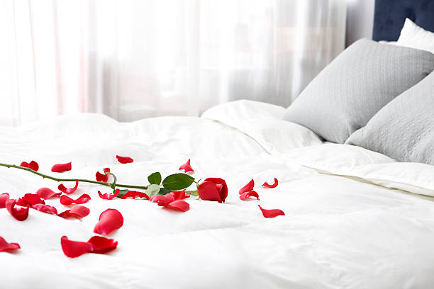 schlafzimmer mit single rose und rosenblätter auf dem bett, textfreiraum - romantic activity stock-fotos und bilder