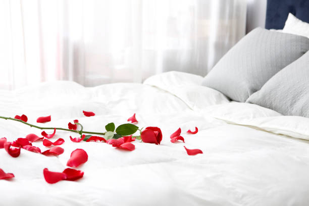 istock Bedroom with Single Rose and Petals on Bed, Copy Space 157405866