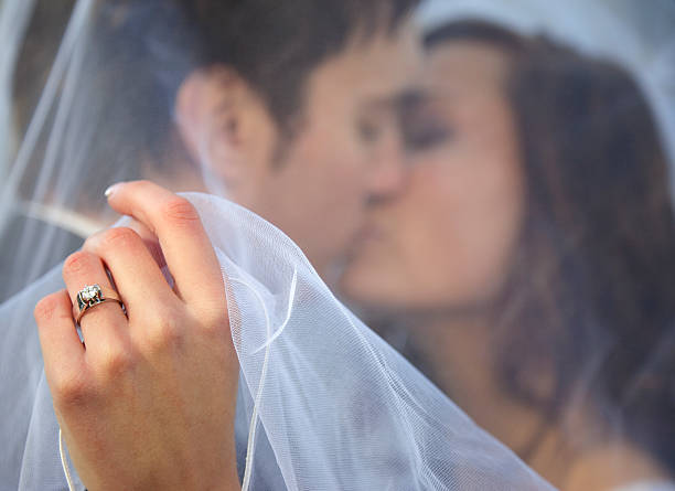 A bride and groom kissing under the veil of a wedding dress.