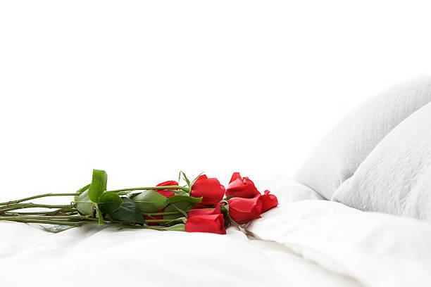 赤いバラのブーケをロマンチックに白のベッド、コピースペース - dozen roses rose flower arrangement red ストックフォトと画像