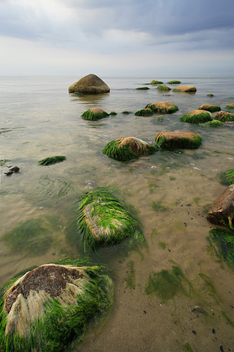 Boulders with seaweed, overcast sky