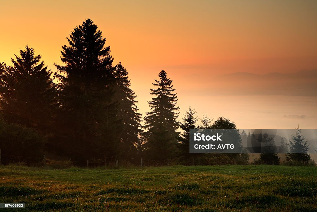 Paysage brumeux à l'aube - Photo de Allgäu libre de droits