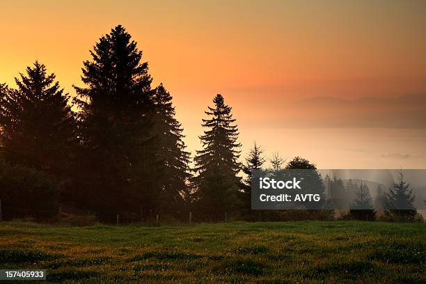 Photo libre de droit de Paysage Brumeux À Laube banque d'images et plus d'images libres de droit de Allgäu - Allgäu, Alpes bavaroises, Alpes européennes