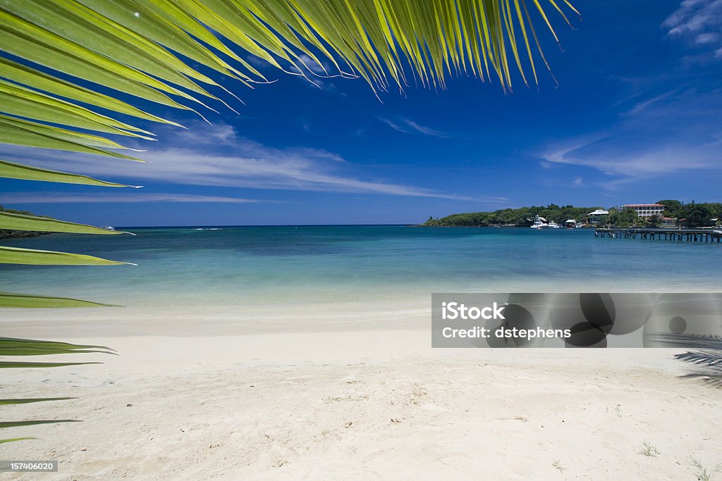 Tropical Beach boarder  Bay of Water Stock Photo