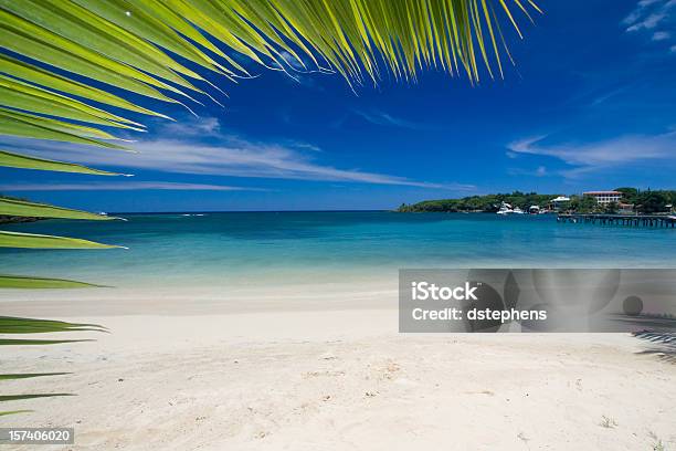 Tropical Beach Boarder Stock Photo - Download Image Now - Bay of Water, Beach, Beauty In Nature