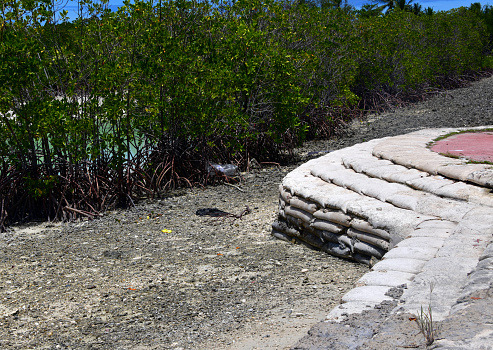 Bonriki, South Tarawa atoll, Kiribati: double protection, sand bags and coastal mangroves help prevent sea erosion in a country extremely vulnerable to climate change and rising sea levels. Tarawa lagoon.