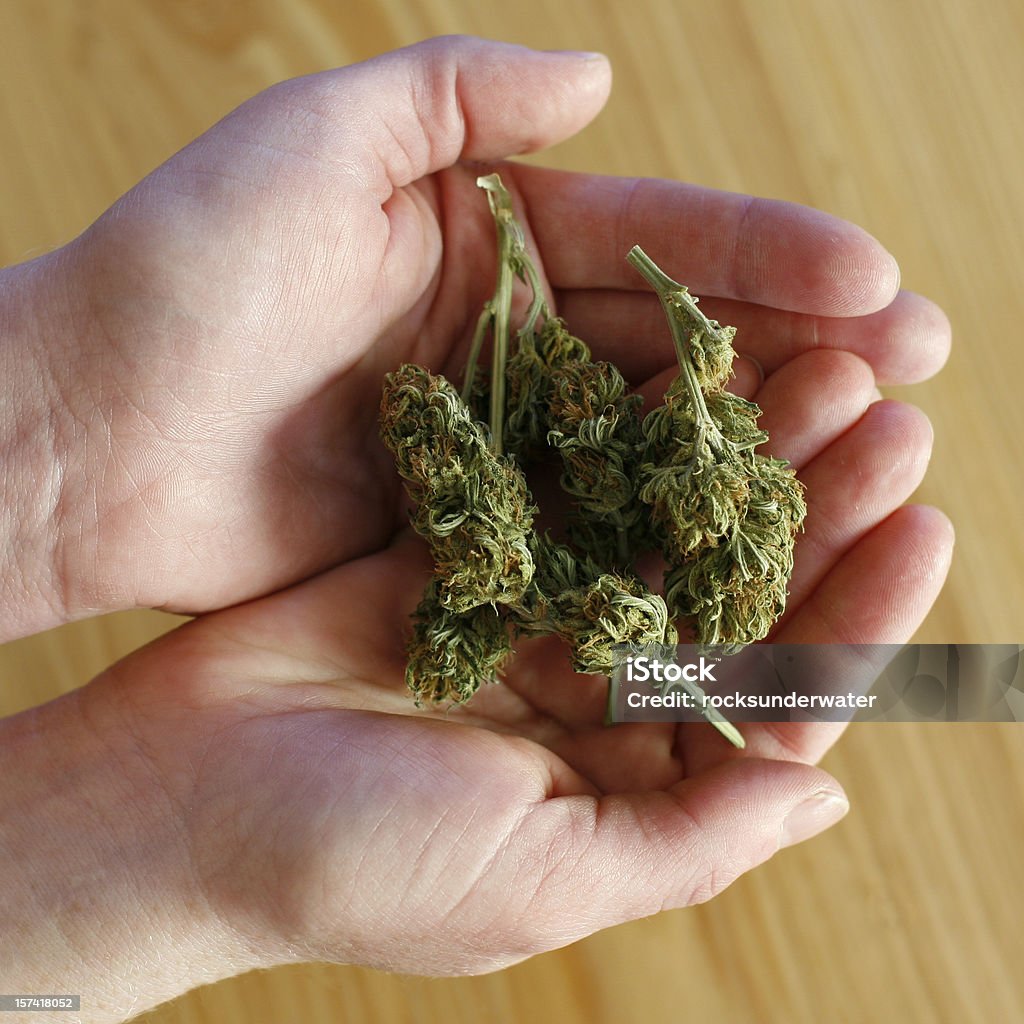 Marijuana boccioli - Foto stock royalty-free di Abuso di sostanze stupefacenti