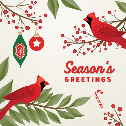 Christmas Background With Cardinals And Branches. Several organized layers for easier editing.