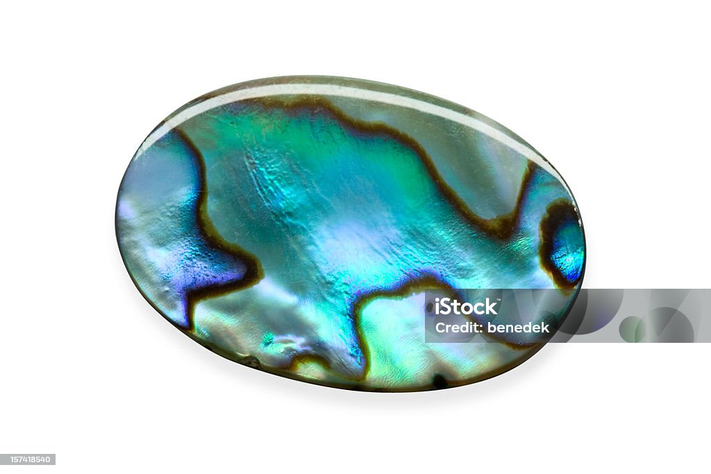 Abalone Shell - Foto de stock de Orelha-do-mar royalty-free