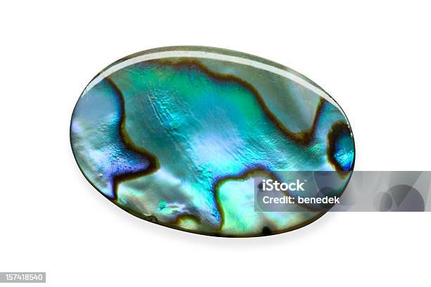 Foto de Abalone Shell e mais fotos de stock de Orelha-do-mar - Orelha-do-mar, Abstrato, Azul