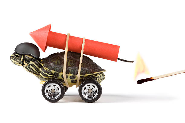 stunt XXL (clipping path) Turtle (real) with a rocket on the back, a match (real flame) is about to ignite it. initiative stock pictures, royalty-free photos & images