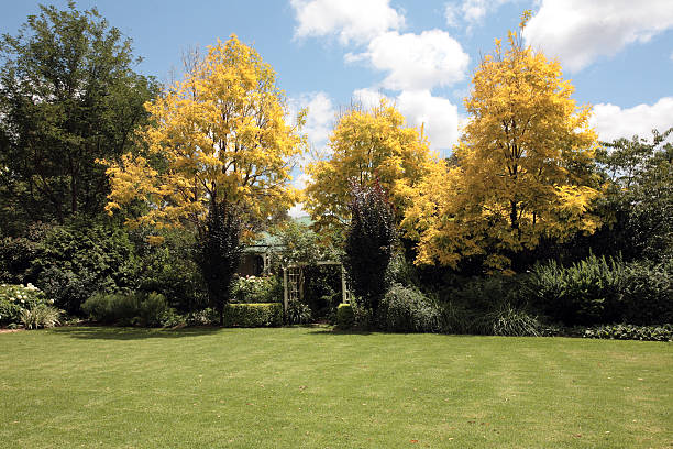 autumn colour invades a vibrant garden