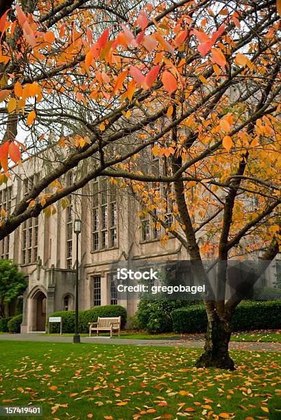 Collegiate ビルでワシントン大学 - 大学キャンパスのストックフォトや画像を多数ご用意 - 大学キャンパス, 秋, アメリカ太平洋岸北西部