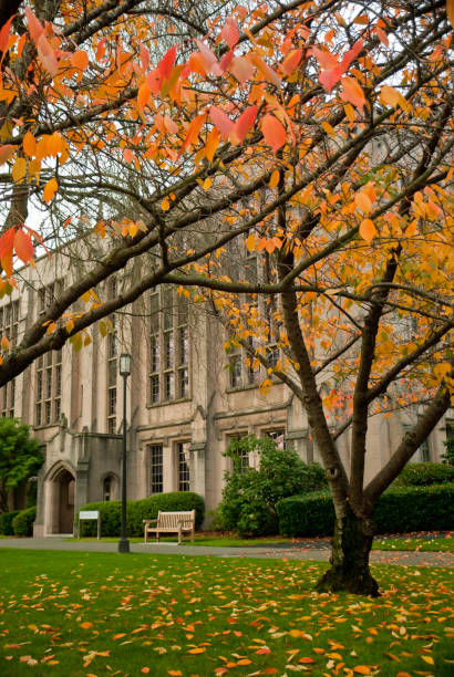 istock Collegiate building at University of Washington 157419401