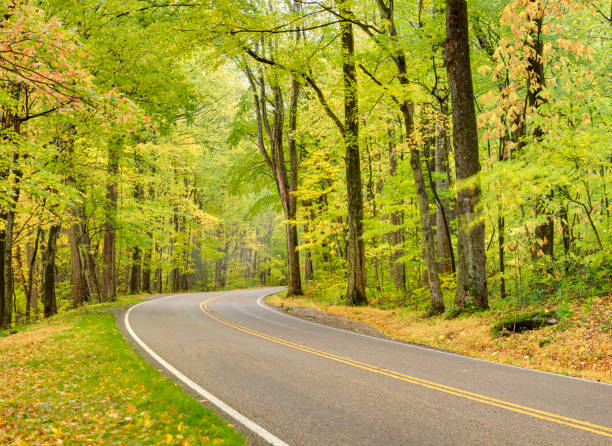 дорога к serenity (xxxl - gatlinburg road winding road tennessee стоковые фото и изображения