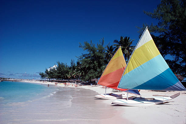 Barbados beach stock photo