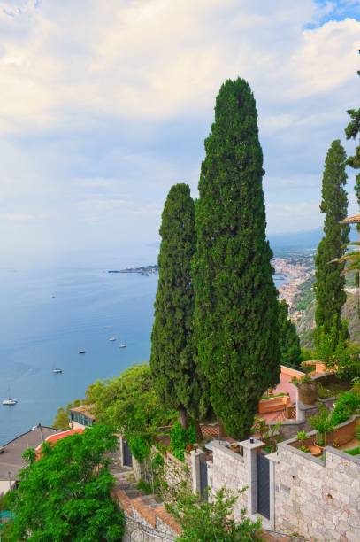 istock typical vegetation in southern italy overlooking the blue sea 1574202105