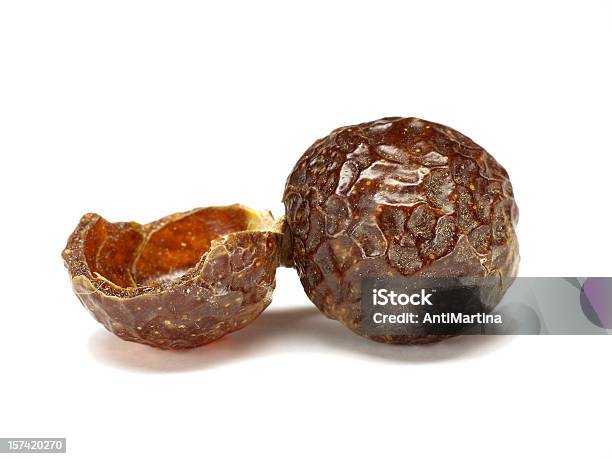 Мыльный орех фото Мыльный орех фото