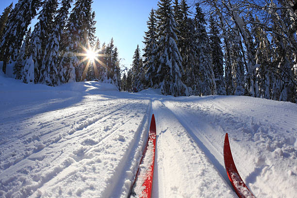 크로스 컨트리 스키 인 oslo, norway - snow ski track color image colors 뉴스 사진 이미지