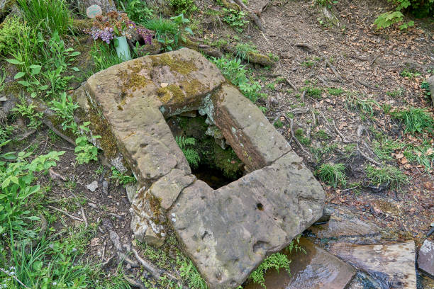 ilsequelle, la source de la rivière ilse dans la rothaargebierge - runnel photos et images de collection