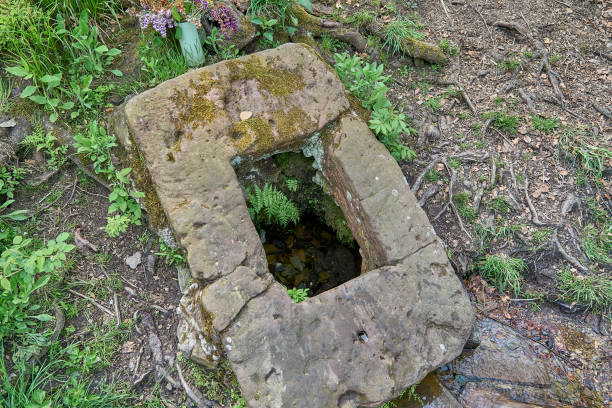 ilsequelle, la source de la rivière ilse dans la rothaargebierge - runnel photos et images de collection