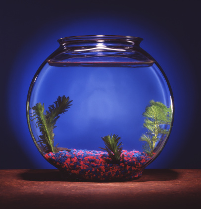 Empty fishbowl on table. Room for copy or image to be inserted in fish tank.