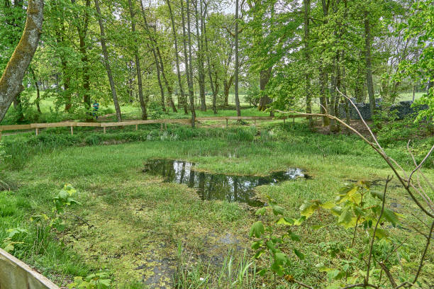 istock source of the river Lahn in Germany. 1574209024