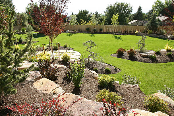 Beautiful landscaped yard